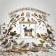 Versele-Laga NutriBird Insect Patee Premium 2kg | Complete Soft Food with 50%+ Animal Protein for Insect-Eating Birds | Nutrition Supplement for Wild Birds, Songbirds & Breeding Birds