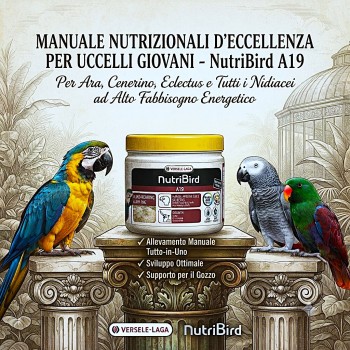 Versele-Laga NutriBird A19 Hand-Rearing Baby Bird Food 250g – Complete All-in-One Formula for Macaw, African Grey & Eclectus Parrots – Supports Growth, Digestion & Feather Development