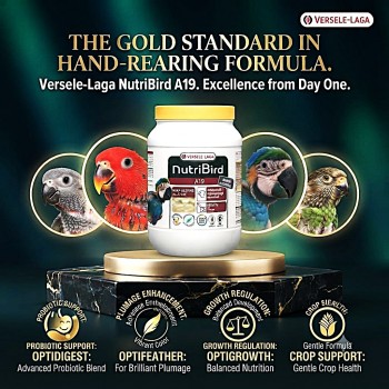 Versele-Laga NutriBird A19 Hand-Rearing Formula for Baby Parrots 800g – High-Energy Growth Food for Macaws, African Grey, Eclectus & Hawk-Headed Parrots – Complete Hand-Feeding Nutrition with Vitamins, Minerals & Amino Acids