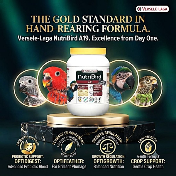 Versele-Laga NutriBird A19 Hand-Rearing Formula for Baby Parrots 800g – High-Energy Growth Food for Macaws, African Grey, Eclectus & Hawk-Headed Parrots – Complete Hand-Feeding Nutrition with Vitamins, Minerals & Amino Acids