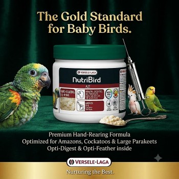 Versele-Laga NutriBird A21 Hand-Rearing Food 250g – Baby Bird Feeding Formula for Amazons, Cockatoos & Large Parakeets – 21% Protein with Vitamins, Minerals, Prebiotics & Digestive Enzymes