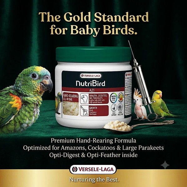 Versele-Laga NutriBird A21 Hand-Rearing Food 250g – Baby Bird Feeding Formula for Amazons, Cockatoos & Large Parakeets – 21% Protein with Vitamins, Minerals, Prebiotics & Digestive Enzymes