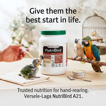 Versele-Laga NutriBird A21 Hand-Rearing Formula 800g – Baby Bird Food for Hand Feeding from Hatching to Weaning – Complete Nutrition with Vitamins, Minerals, Protein & Probiotics