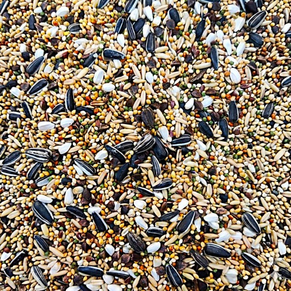 Versele-Laga Prestige Loro Parque Australian Parakeet Mix 20 kg – Premium Seed Blend for Australian Parakeets, Cockatiels & Small Parrots, Enriched with Vitamins, Amino Acids & Minerals for Healthy Feathers and Vibrant Colors