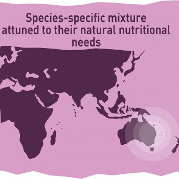 Versele-Laga Prestige Loro Parque Australian Parakeet Mix 20 kg – Premium Seed Blend for Australian Parakeets, Cockatiels & Small Parrots, Enriched with Vitamins, Amino Acids & Minerals for Healthy Feathers and Vibrant Colors