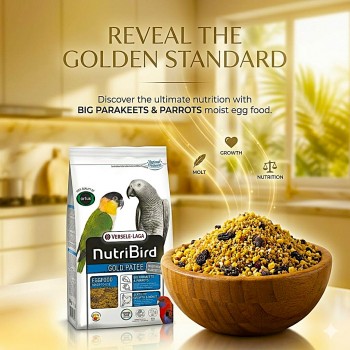 Versele-Laga NutriBird Gold Patee Eggfood for Big Parakeets & Parrots - 10kg - Moist Ready to Use High Protein Bird Food with Honey Fruits Gammarus Supports Breeding Growth Moult with Vitamins Minerals Amino Acids and Prebiotics