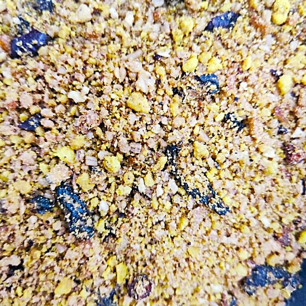 Versele-Laga NutriBird Gold Patee Eggfood for Big Parakeets & Parrots - 10kg - Moist Ready to Use High Protein Bird Food with Honey Fruits Gammarus Supports Breeding Growth Moult with Vitamins Minerals Amino Acids and Prebiotics