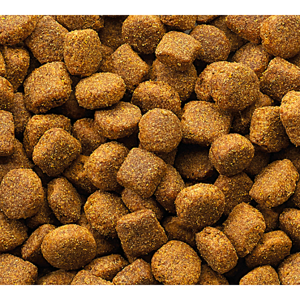 Versele-Laga OKÉ Classic Dry Dog Food with Lamb & Rice 20kg – Complete Adult Dog Food for All Breeds – High Protein 22% – Supports Digestion, Active Lifestyle, Shiny Coat & Immune System – Balanced Daily Nutrition