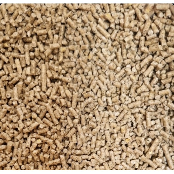 Versele-Laga Country’s Best Gold 1 Crumble 20kg Poultry Starter Feed for Laying Hen Chicks (0–10 Weeks) | High Protein Chicken Feed, Chick Starter Crumble, Vitamins, Calcium, Coccidiostat for Growth, Immunity & Bone Strength