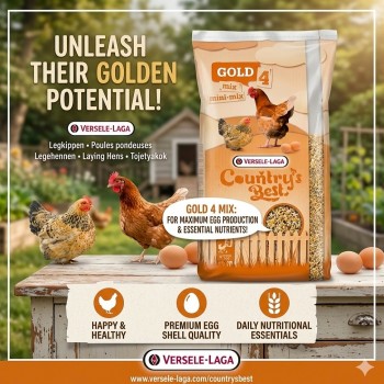 Versele-Laga Country's Best Gold 4 Mini Mix 20kg – High-Protein Complete Feed for Laying Hens & Chicks with Vitamins, Minerals, Calcium, Phytase, Natural Oils, Wheat, Maize, Soya, Sunflower