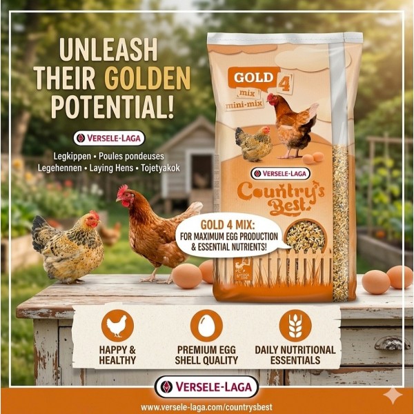 Versele-Laga Country's Best Gold 4 Mini Mix 20kg – High-Protein Complete Feed for Laying Hens & Chicks with Vitamins, Minerals, Calcium, Phytase, Natural Oils, Wheat, Maize, Soya, Sunflower