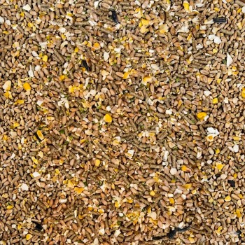 Versele-Laga Country's Best Gold 4 Mini Mix 20kg – High-Protein Complete Feed for Laying Hens & Chicks with Vitamins, Minerals, Calcium, Phytase, Natural Oils, Wheat, Maize, Soya, Sunflower