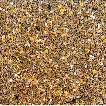 Versele-Laga Country's Best Gold 4 Mini Mix 20kg – High-Protein Complete Feed for Laying Hens & Chicks with Vitamins, Minerals, Calcium, Phytase, Natural Oils, Wheat, Maize, Soya, Sunflower