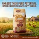 Versele-Laga Country’s Best Farm 2 Broiler Feed 20 kg – Complete Growth Feed for Meat Chickens, Pellet & Mash Forms, High-Quality Poultry Nutrition, Coccidiostat Option & Natural Ingredients for Rapid, Balanced Growth