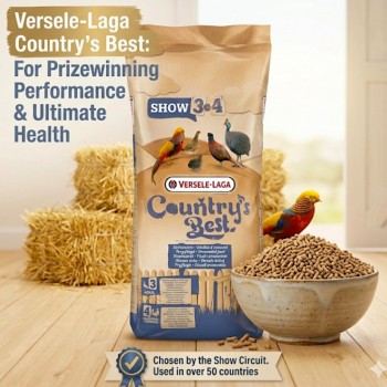 Versele-Laga Country’s Best SHOW 3 & 4 Poultry Feed 20kg – 2mm Breeding & Maintenance Pellets for Pheasants, Quail, Partridges & Guinea Fowl – High Protein Bird Feed with Vitamins, Omega-3 for Egg Laying & Feather Health