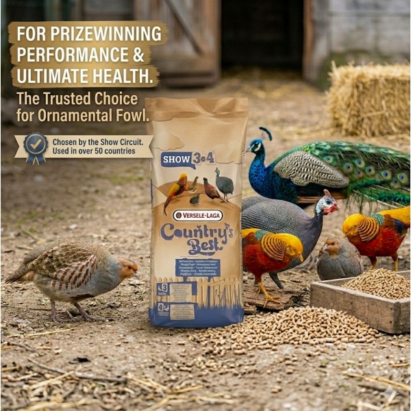 Versele-Laga Country’s Best SHOW 3 & 4 Poultry Feed 20kg – 2mm Breeding & Maintenance Pellets for Pheasants, Quail, Partridges & Guinea Fowl – High Protein Bird Feed with Vitamins, Omega-3 for Egg Laying & Feather Health