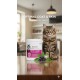 Versele-Laga Oropharma Opti Hair Cat Supplement 130g – Dietary Skin & Coat Support with Yeast, Elderberry & Algae to Control Excessive Hair Fall, Reduce Itching, and Improve Cat Skin and Coat Health