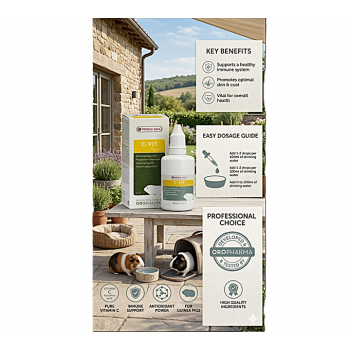 Versele-Laga Oropharma C-Vit Liquid Vitamin Supplement for Guinea Pigs – High Strength Vitamin C & L-Carnitine Drops for Immune Support, Healthy Skin & Coat, Weight Management, Recovery & Overall Vitality, 50ml