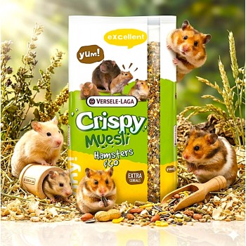 Versele-Laga Crispy Muesli Hamsters & Co - 20kg Complete Small Animal Food Hamsters Gerbils Mice Rats High Protein 15% Balanced Nutrition Cereals Vegetables Seeds Vitamins Healthy Growth Immunity Vitality M