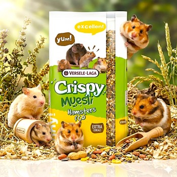 Versele-Laga Crispy Muesli Hamsters & Co - 20kg Complete Small Animal Food Hamsters Gerbils Mice Rats High Protein 15% Balanced Nutrition Cereals Vegetables Seeds Vitamins Healthy Growth Immunity Vitality M