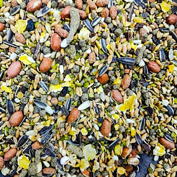 Versele-Laga Crispy Muesli Hamsters & Co - 20kg Complete Small Animal Food Hamsters Gerbils Mice Rats High Protein 15% Balanced Nutrition Cereals Vegetables Seeds Vitamins Healthy Growth Immunity Vitality M