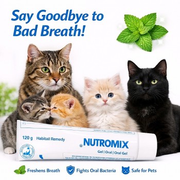 Nutromix® Hairball Remedy Oral Gel for Cats & Kittens 120g – Fish Flavour Hairball Control, Digestive Support, Vitamin & Taurine Supplement