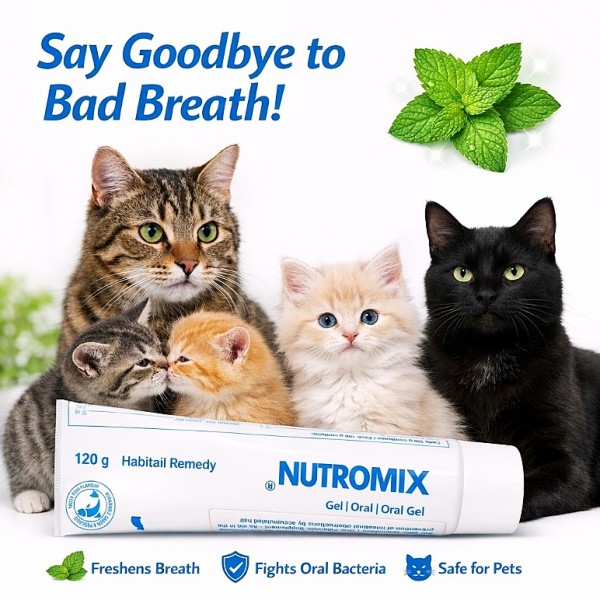 Nutromix® Hairball Remedy Oral Gel for Cats & Kittens 120g – Fish Flavour Hairball Control, Digestive Support, Vitamin & Taurine Supplement