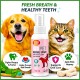 BIOPET Dental Spray for Dogs & Cats with Chlorhexidine Digluconate – Pet Oral Hygiene Spray for Fresh Breath, Plaque & Tartar Removal, Gum Care & Antibacterial Dental Treatment (100ML)