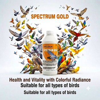 Spectrum Gold Animal Feed Supplement 1L – Omega-Rich Emulsified Blend with Seaweed, Amino Acids, Vitamins & Minerals for Birds, Pigeons & Falcons – Supports Digestion, Immunity, Energy & Performance (Made in Australia)