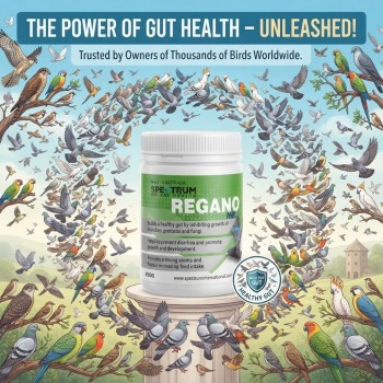 Spectrum Animal Health Regano 450g Bird Gut Health Supplement | Natural Oregano Extract | Digestive & Appetite Support for Pigeons, Falcons & Aviary Birds | Australian Made