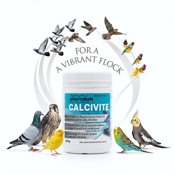 Spectrum Animal Health Calcivite D with Biotin 450g – Calcium, Phosphorus & Vitamin D3 Supplement for Pigeons, Falcons & Birds – Bone Strength, Growth Support, Mineral Balance & Bird Health Supplement