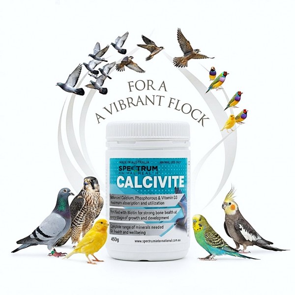 Spectrum Animal Health Calcivite D with Biotin 450g – Calcium, Phosphorus & Vitamin D3 Supplement for Pigeons, Falcons & Birds – Bone Strength, Growth Support, Mineral Balance & Bird Health Supplement