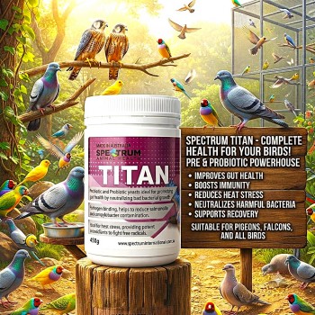 Spectrum Animal Health Titan 450g | Premium Pre & Probiotic Supplement for Birds, Pigeons & Falcons | Gut Health Support, Immune System Booster, Heat Stress Protection & Digestive Support