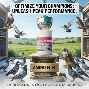 Spectrum Animal Health Amino Fuel for Pigeons & Falcons 450g | High-Performance Amino Acid Supplement | Supports Stamina, Muscle Recovery, Energy & Endurance | Australian Made