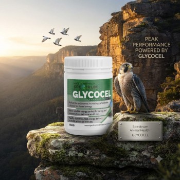 Spectrum Animal Health Glycocel 450g | Water Soluble Energy Supplement for Racing Pigeons & Falcons | Fast Carbohydrate Recovery Formula for Bird Training, Racing & Endurance