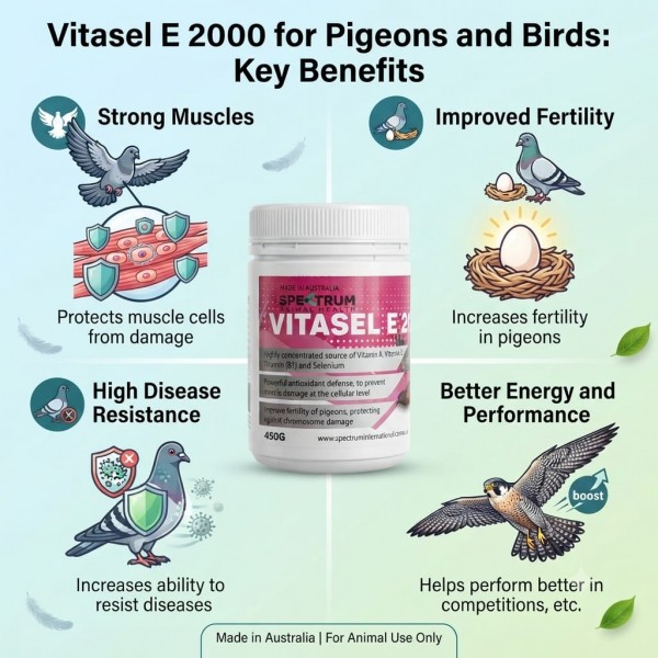 Spectrum Animal Health Vitasel E 2000 450g | Vitamin E & Selenium Supplement for Pigeons, Falcons & Birds | Supports Fertility, Immunity & Performance