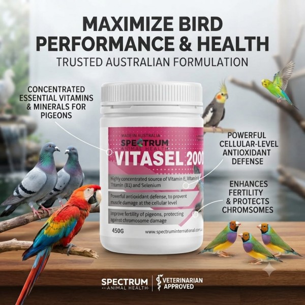 Spectrum Animal Health Vitasel E 2000 450g | Vitamin E & Selenium Supplement for Pigeons, Falcons & Birds | Supports Fertility, Immunity & Performance