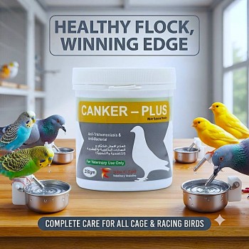 Canker-Plus Water Soluble Powder 250g for Pigeons, Parrots & Cage Birds – Anti-Canker and Anti-Bacterial Treatment for Bird Health