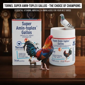 Tornel Super Amin-Toplex Gallos 90 Capsules | Vitamin Mineral Supplement with Vitamins A D E B Complex Amino Acids | Supports Fighting Fowls Breeding Birds Stallion Birds & High Performance Pigeons