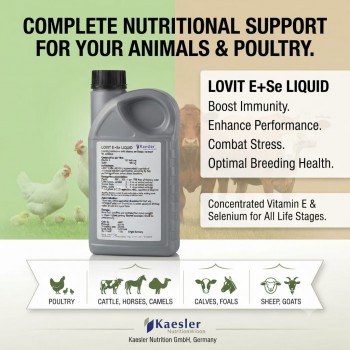 Kaesler Nutrition LOVIT E+Se LIQUID 1 Litre | Vitamin E & Selenium Liquid Supplement Premix for Poultry, Cattle, Horses, Camels, Sheep & Goats | Immune Support, Stress Management, Muscle & Reproductive Health