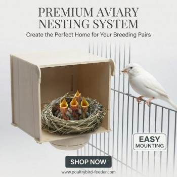 Premium Cockatiel Breeding Box with External Feeder, 2-in-1 Bird Nesting Box and Seed Feeder, Durable Easy-Clean Plastic Nest Box with Wire Front Panel and Round Entrance, Cage Mount Nest for Cockatiels and Similar-Sized Birds, 13.5 x 13.5 x 18 cm