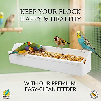 Premium Multi Compartment Bird Feeder with Removable Grill Spill Proof Seed Dispenser White Plastic Cage Aviary Feeder for Canaries Finches Budgies Lovebirds Cockatiels Parakeets and Small Parrots 38.5 x 7 x 9.5 cm