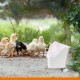 Premium Multi Compartment Bird Feeder with Removable Grill Spill Proof Seed Dispenser White Plastic Cage Aviary Feeder for Canaries Finches Budgies Lovebirds Cockatiels Parakeets and Small Parrots 38.5 x 7 x 9.5 cm