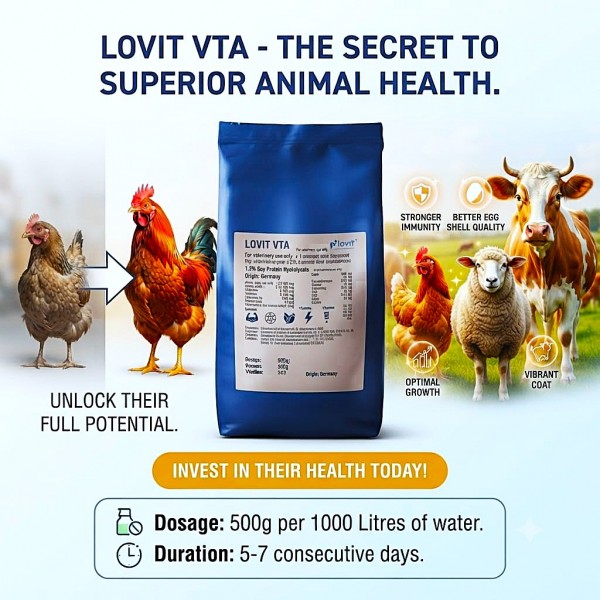 Kaesler Lovit VTA Water Soluble Vitamin, Trace Element & Amino Acid Supplement for Poultry, Sheep, Cattle & Rabbits, with 1.3% Soy Protein Hydrolysate, Animal Nutrition Premix for Growth, Immunity & Vitality, 1 kg