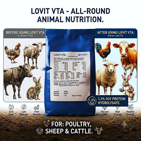 Kaesler Lovit VTA Water Soluble Vitamin, Trace Element & Amino Acid Supplement for Poultry, Sheep, Cattle & Rabbits, with 1.3% Soy Protein Hydrolysate, Animal Nutrition Premix for Growth, Immunity & Vitality, 1 kg