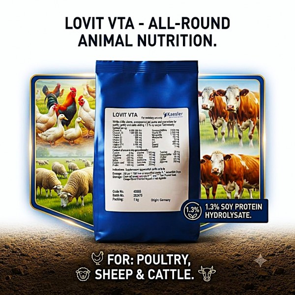 Kaesler Lovit VTA Water Soluble Vitamin, Trace Element & Amino Acid Supplement for Poultry, Sheep, Cattle & Rabbits, with 1.3% Soy Protein Hydrolysate, Animal Nutrition Premix for Growth, Immunity & Vitality, 1 kg