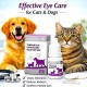 VueVetica-TB Tobramycin Ophthalmic Solution USP 5ml for Dogs & Cats – Veterinary Antibiotic Eye Drops for Bacterial Conjunctivitis, Keratitis & Eye Infections | Fast Relief Redness Irritation Treatment | Goldencat UAE