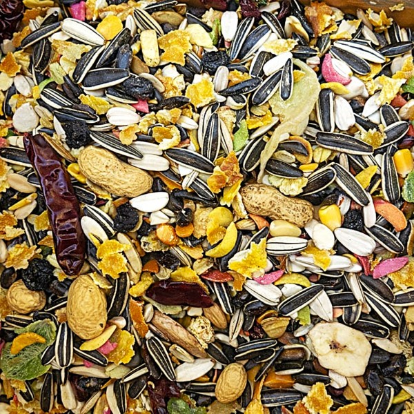 LUXBER Premium Parrot Fruit Food 10kg – Natural Blend of Fruits, Seeds & Nuts | Rich in Vitamins, Minerals & Omega-3 | Complete Daily Nutrition for Macaws, African Greys, Cockatoos & Other Pet Birds