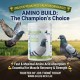 Amino Build Essential Amino Acid Concentrate 250g for Racing & Breeding Pigeons, with Vitamin B for Muscle Development, Recovery, Stamina and Peak Performance