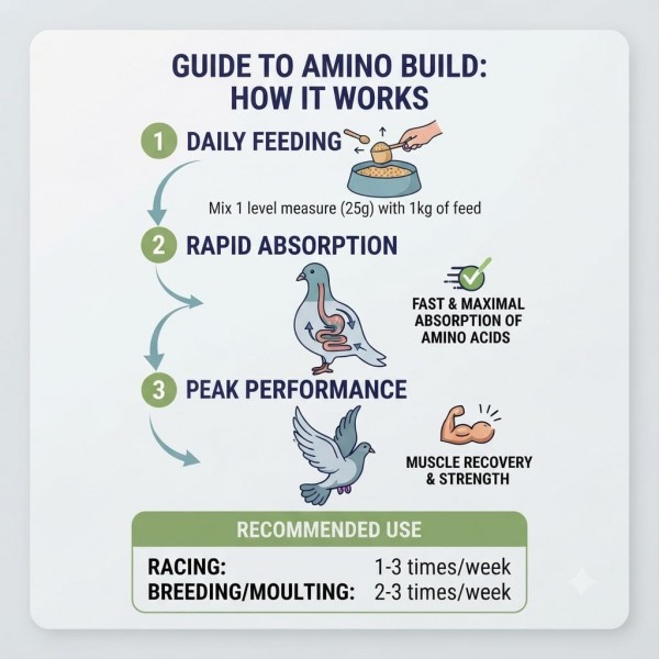 Amino Build Essential Amino Acid Concentrate 250g for Racing & Breeding Pigeons, with Vitamin B for Muscle Development, Recovery, Stamina and Peak Performance